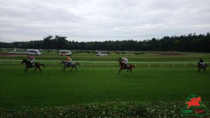 Le quinté à Saint-Cloud