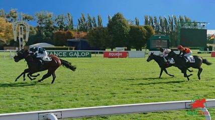 Piste hippodrome