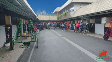 Ecuries à Vincennes