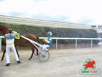 Course de trot