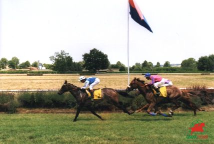 Le quinté à Chantilly