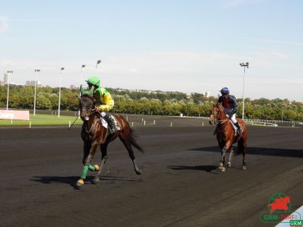 Deux trotteurs monté à Vincennes