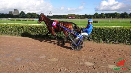 Quinté de trot