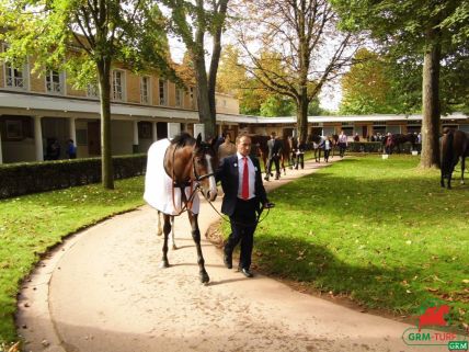 Longchamp