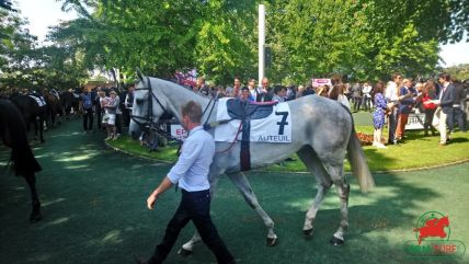 Tiercé-Quarté+-Quinté+ à Auteuil