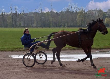 Caen hippodrome