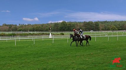 Hippodrome