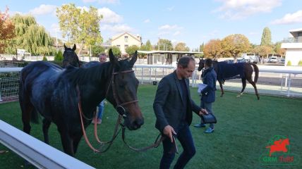 Quinté à Deauville