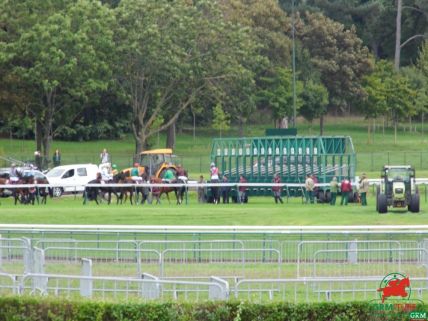 Stalles de départ à Longchamp