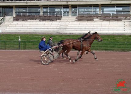 Courses à Caen