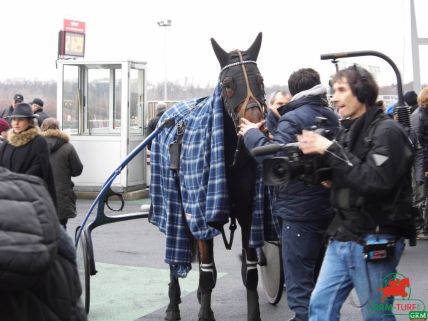 Venise Girl à Vincennes