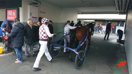 Quinté à Vincennes