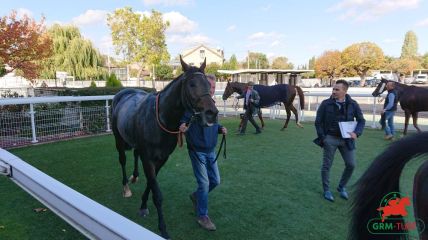 Courses et quinté à Deauville