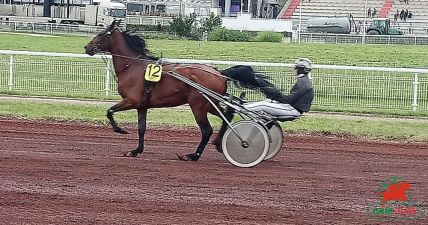 GNT 2024