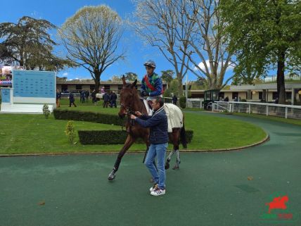 Quinté à Auteuil