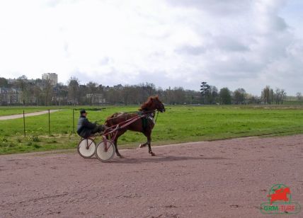 Courses à Caen