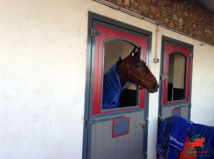 Le trotteur Timoko