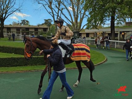 Quinté à Auteuil