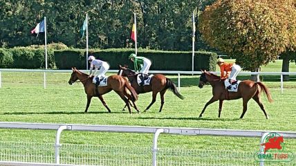 Quinté à Deauville