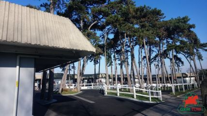 Le quinté sur l'hippodrome de Vincennes