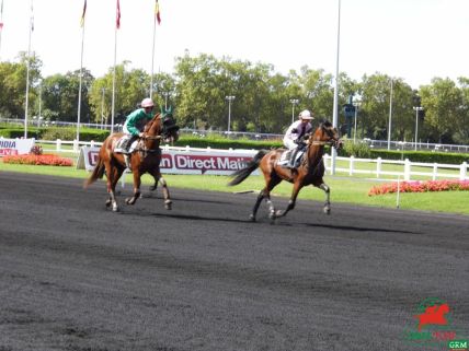 Trotteurs monté à Vincennes