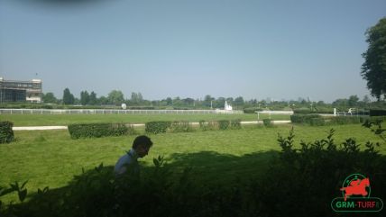 Courses et quinté à Auteuil