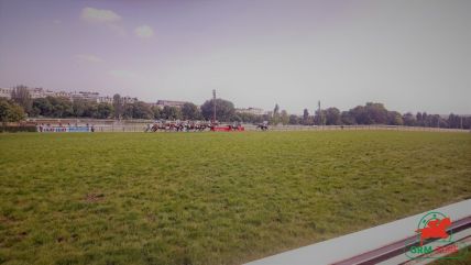 Chevaux du Jour Auteuil