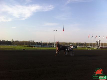 Trotteur à Vincennes