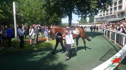 Tiercé-Quarté+-Quinté+ à Auteuil