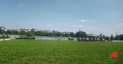 Courses et quinté à Auteuil