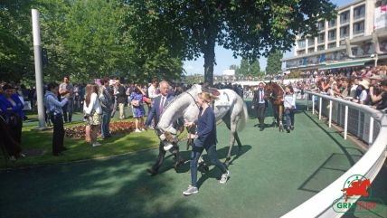 Quinté à Auteuil