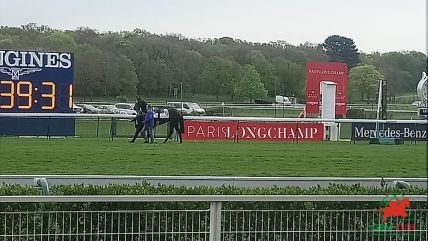 Le quinté à ParisLonchamp le 14 juillet 2019