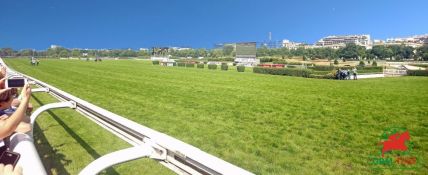 Quinté à Auteuil