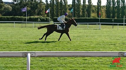 Course de galop