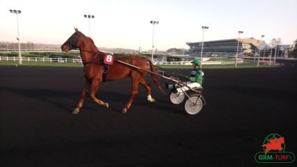 Le quinté sur l'hippodrome de Vincennes