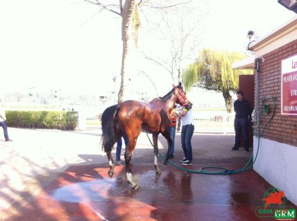 Hippodrome d'Enghien Soisy