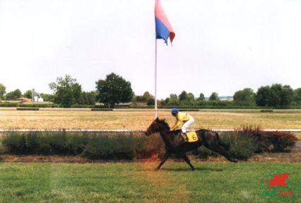 Le quinté à Maisons-Laffitte