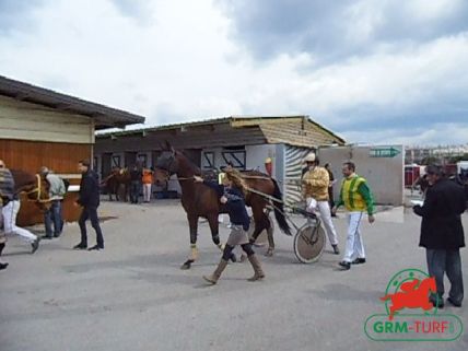 trotteurs