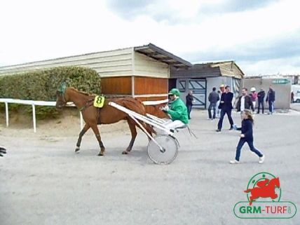 Quinté de trot
