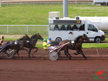 Trotteurs sur l'hippodrome d'Enghien