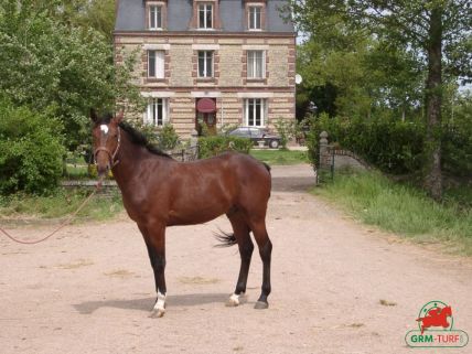 Le quinté à Chantilly