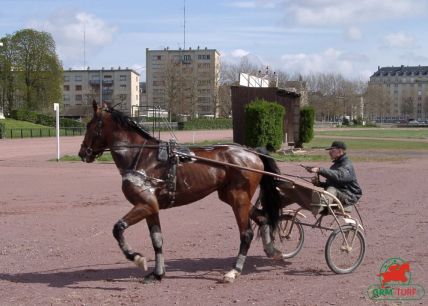 Caen