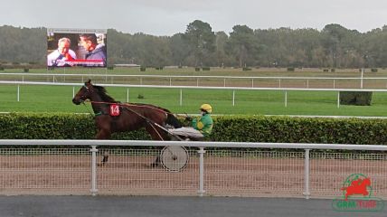 Le quinté qui se court à Bordeaux