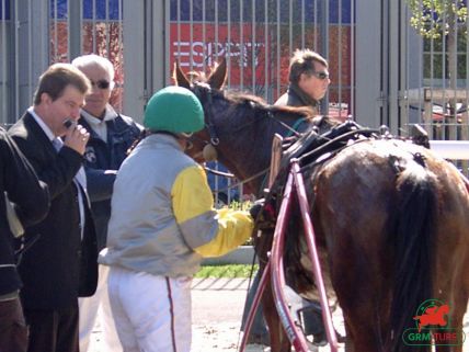 Quinté de trot