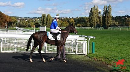 Quinté à Deauville