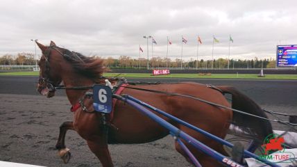 Vincennes