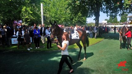 Quinté à Auteuil