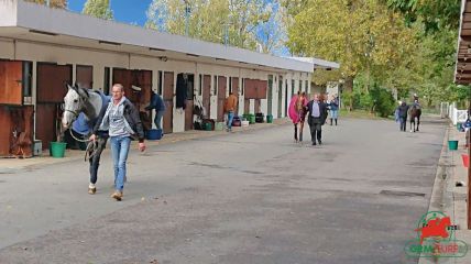 Hippodrome de Saint-Cloud