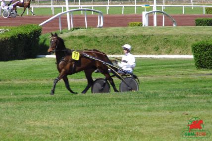 Grand National du Trot