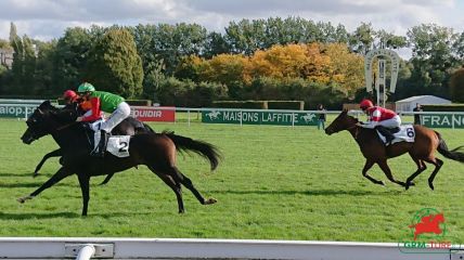 Quinté à Deauville